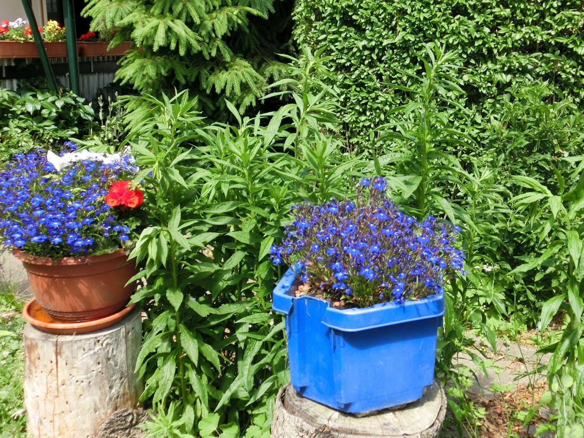 Holiday Home In Cattenstedt Harz With Garden 외부 사진